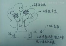 为什么产品与交互你都要懂?-IAMUE