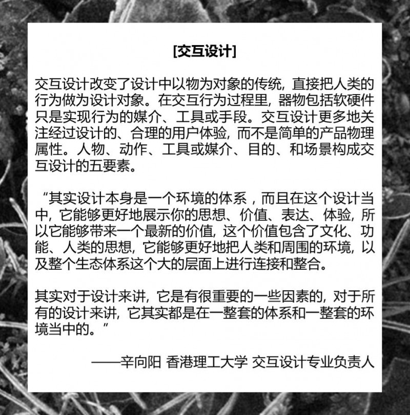 一次关于梦想、音乐和代码的交互设计体验