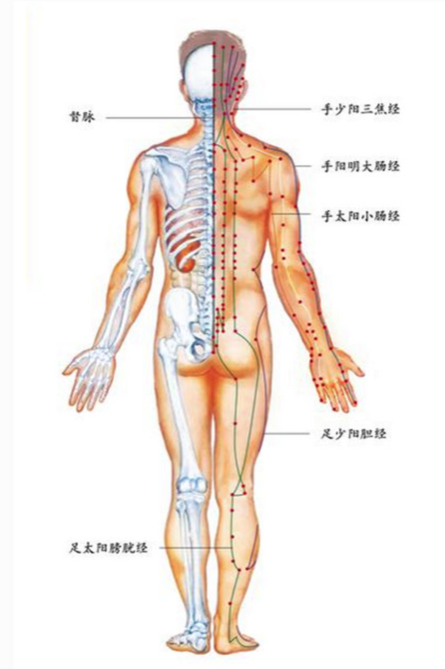 浅谈视觉设计与用户体验的统一